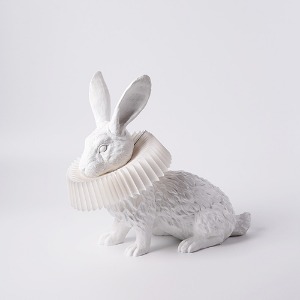 Rabbit X LAMP - Squat